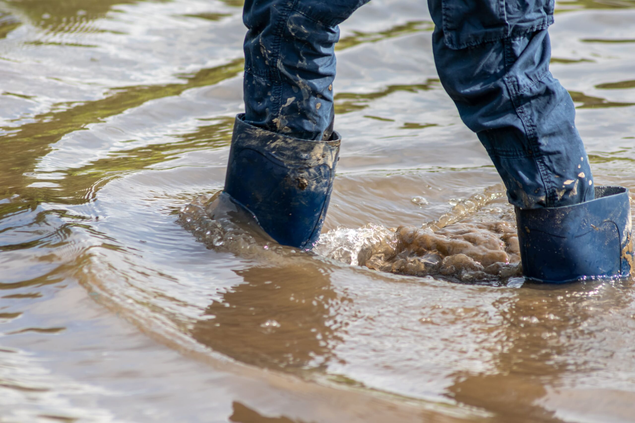 Two legs in rubber boots walking through water and mud.