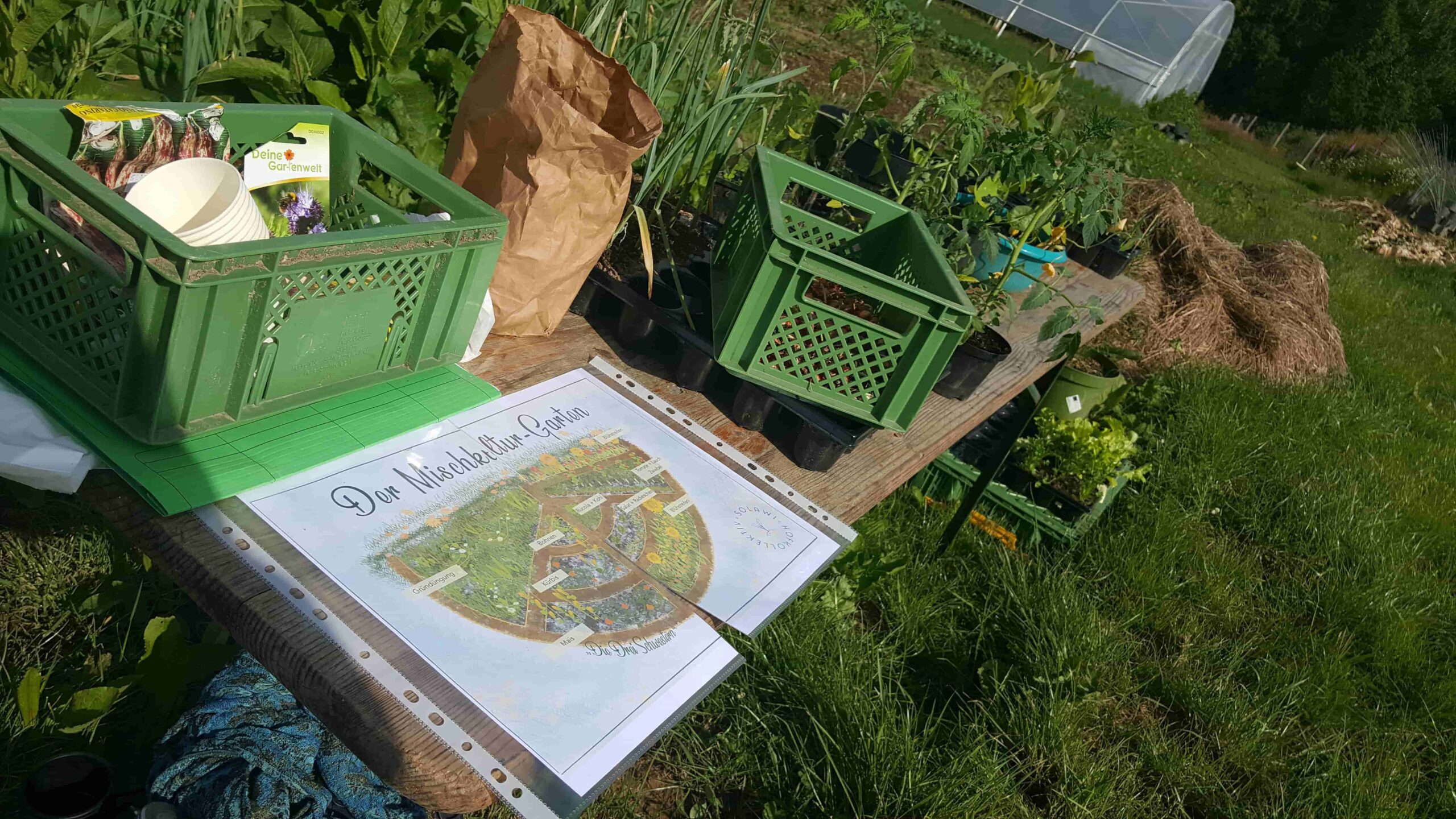 Two green boxes on a table in the garden filled with seeds and a picture overview for designing a mixed culture garden